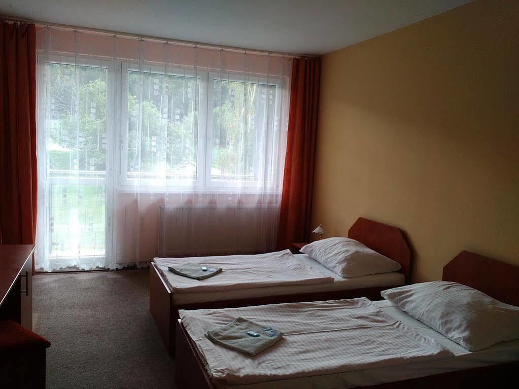 Hotel Panorama Teplice Esterno foto